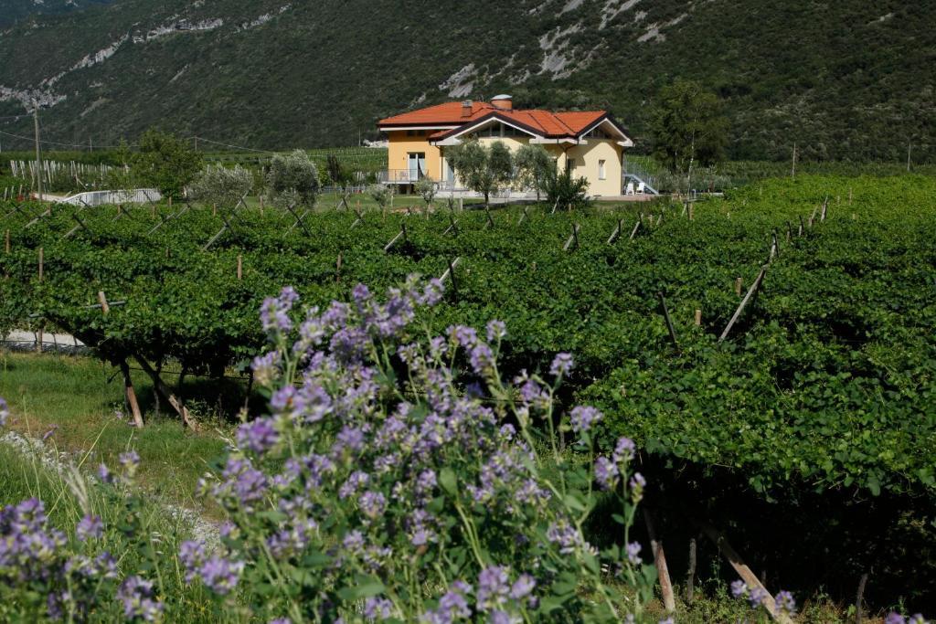 Appartamenti Al Vigneto Dro Exterior foto
